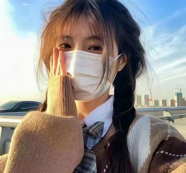 顽皮豹之子